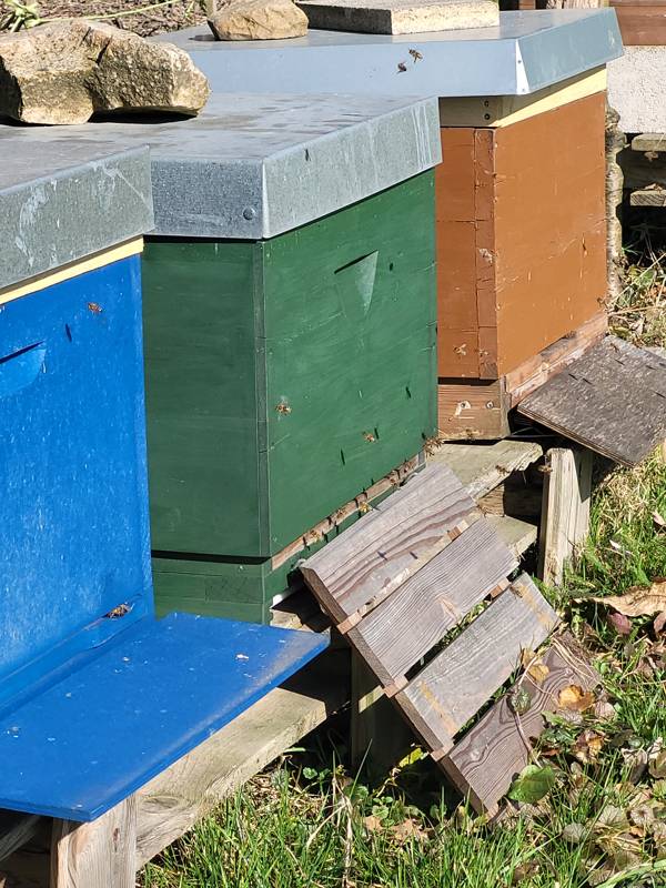 Bunte Bienenstöcke mit anfliegenden Bienen